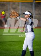 Photo from the gallery "Falcon @ The Classical Academy"
