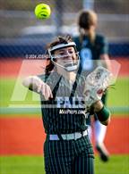Photo from the gallery "Falcon @ The Classical Academy"