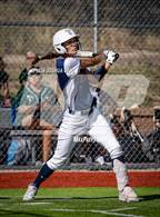 Photo from the gallery "Falcon @ The Classical Academy"