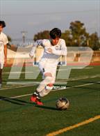 Photo from the gallery "Cypress @ Marina"