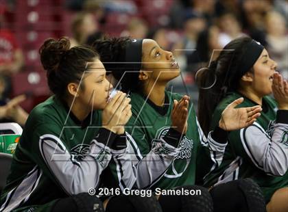 Thumbnail 2 in Sacred Heart Cathedral Preparatory vs Lakeside (CIF State D3 Final) photogallery.