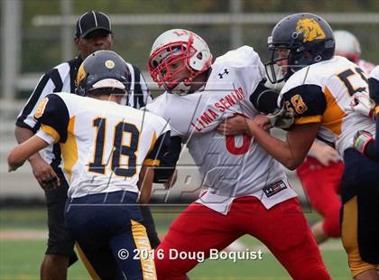 Thumbnail 2 in Toledo Whitmer @ Lima  photogallery.
