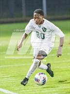 Photo from the gallery "Pine Forest @ Terry Sanford"