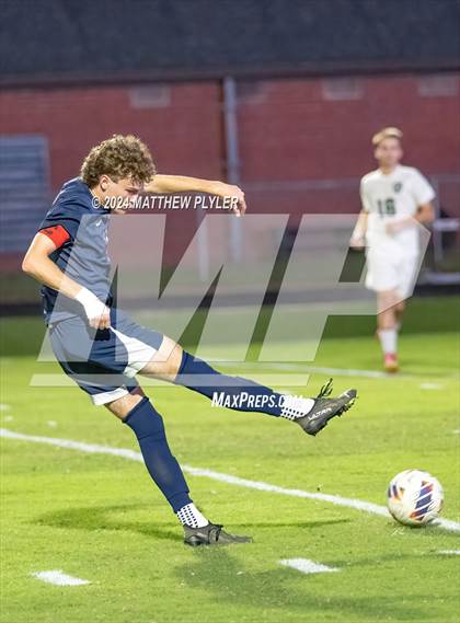 Thumbnail 1 in Pine Forest @ Terry Sanford photogallery.