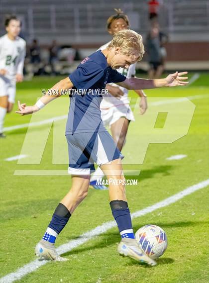 Thumbnail 1 in Pine Forest @ Terry Sanford photogallery.