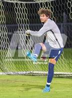 Photo from the gallery "Pine Forest @ Terry Sanford"