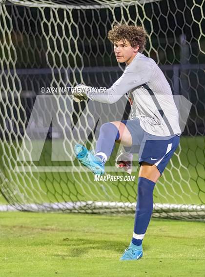 Thumbnail 1 in Pine Forest @ Terry Sanford photogallery.