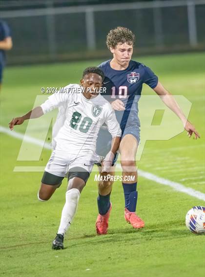 Thumbnail 1 in Pine Forest @ Terry Sanford photogallery.