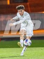 Photo from the gallery "Pine Forest @ Terry Sanford"