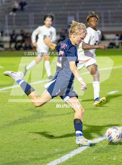 Thumbnail 2 in Pine Forest @ Terry Sanford photogallery.