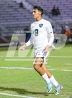 Photo from the gallery "Pine Forest @ Terry Sanford"