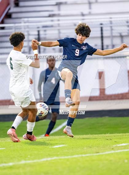 Thumbnail 1 in Pine Forest @ Terry Sanford photogallery.