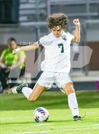 Photo from the gallery "Pine Forest @ Terry Sanford"