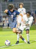 Photo from the gallery "Pine Forest @ Terry Sanford"