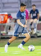Photo from the gallery "Pine Forest @ Terry Sanford"