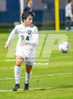 Photo from the gallery "Pine Forest @ Terry Sanford"