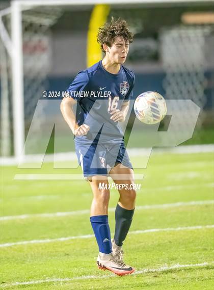 Thumbnail 3 in Pine Forest @ Terry Sanford photogallery.