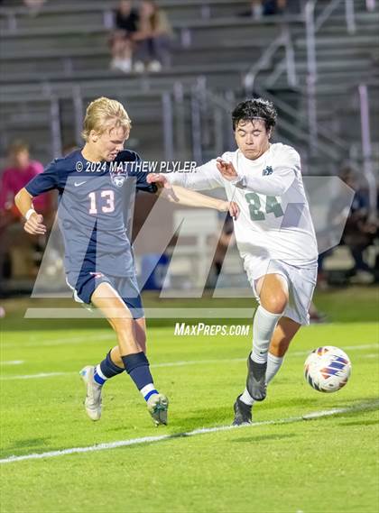 Thumbnail 2 in Pine Forest @ Terry Sanford photogallery.