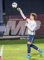 Photo from the gallery "Pine Forest @ Terry Sanford"