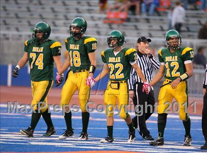 Thumbnail 3 in Eagle @ Borah photogallery.