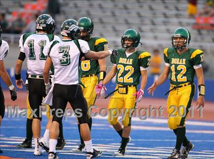 Thumbnail 1 in Eagle @ Borah photogallery.