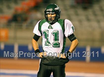 Thumbnail 2 in Eagle @ Borah photogallery.