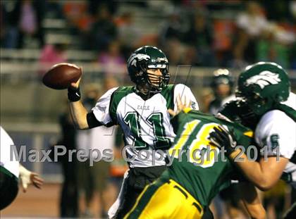 Thumbnail 1 in Eagle @ Borah photogallery.