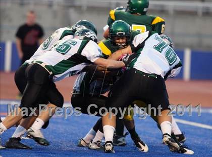 Thumbnail 1 in Eagle @ Borah photogallery.