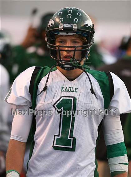 Thumbnail 3 in Eagle @ Borah photogallery.