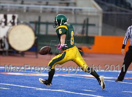 Thumbnail 2 in Eagle @ Borah photogallery.