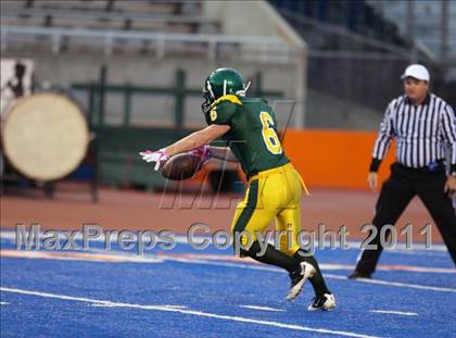 Thumbnail 1 in Eagle @ Borah photogallery.