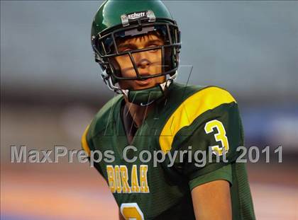 Thumbnail 2 in Eagle @ Borah photogallery.