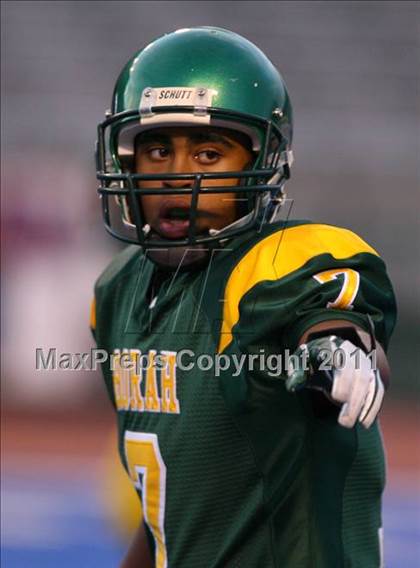 Thumbnail 1 in Eagle @ Borah photogallery.