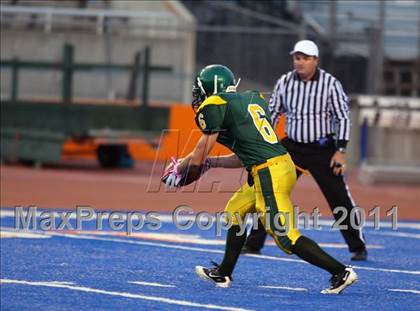 Thumbnail 3 in Eagle @ Borah photogallery.