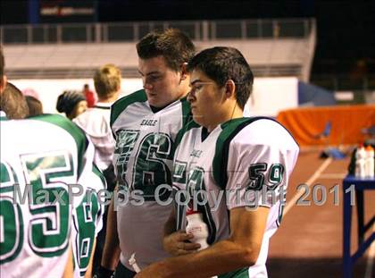 Thumbnail 1 in Eagle @ Borah photogallery.