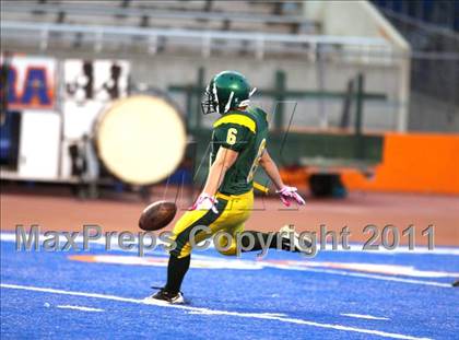 Thumbnail 3 in Eagle @ Borah photogallery.