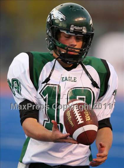 Thumbnail 1 in Eagle @ Borah photogallery.
