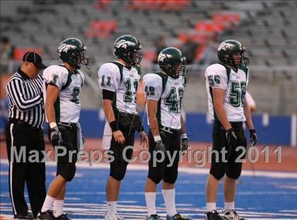 Thumbnail 1 in Eagle @ Borah photogallery.