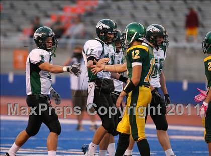 Thumbnail 3 in Eagle @ Borah photogallery.