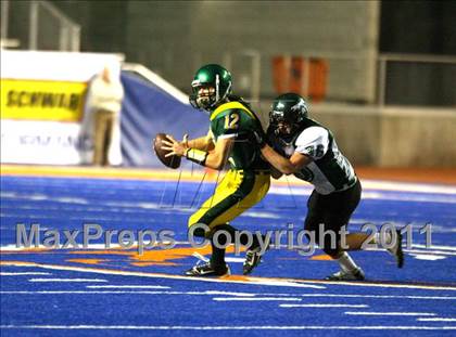 Thumbnail 1 in Eagle @ Borah photogallery.