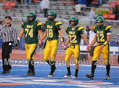 Thumbnail 2 in Eagle @ Borah photogallery.