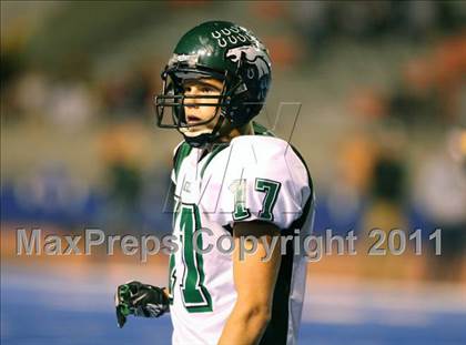 Thumbnail 3 in Eagle @ Borah photogallery.
