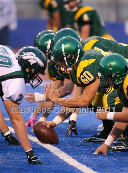 Thumbnail 2 in Eagle @ Borah photogallery.