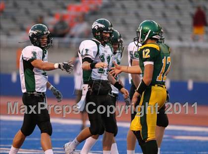 Thumbnail 2 in Eagle @ Borah photogallery.