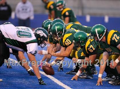 Thumbnail 3 in Eagle @ Borah photogallery.
