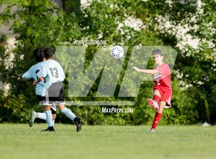 Thumbnail 2 in Jacksonville @ Swansboro photogallery.