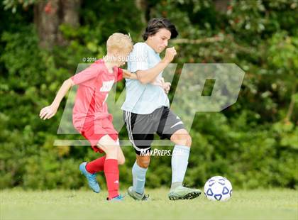 Thumbnail 1 in Jacksonville @ Swansboro photogallery.