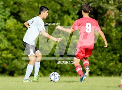 Thumbnail 2 in Jacksonville @ Swansboro photogallery.