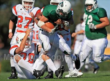 Thumbnail 3 in La Porte @ Pasadena photogallery.