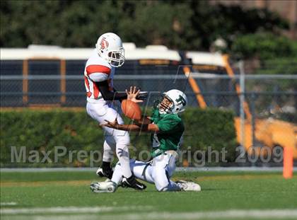 Thumbnail 1 in La Porte @ Pasadena photogallery.